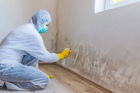 Professional Mold Prevention & Removal  in Riverview Park, PA